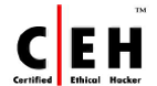 Certified Ethical Hacker (CEH) Certified Ethical Hacker (CEH)